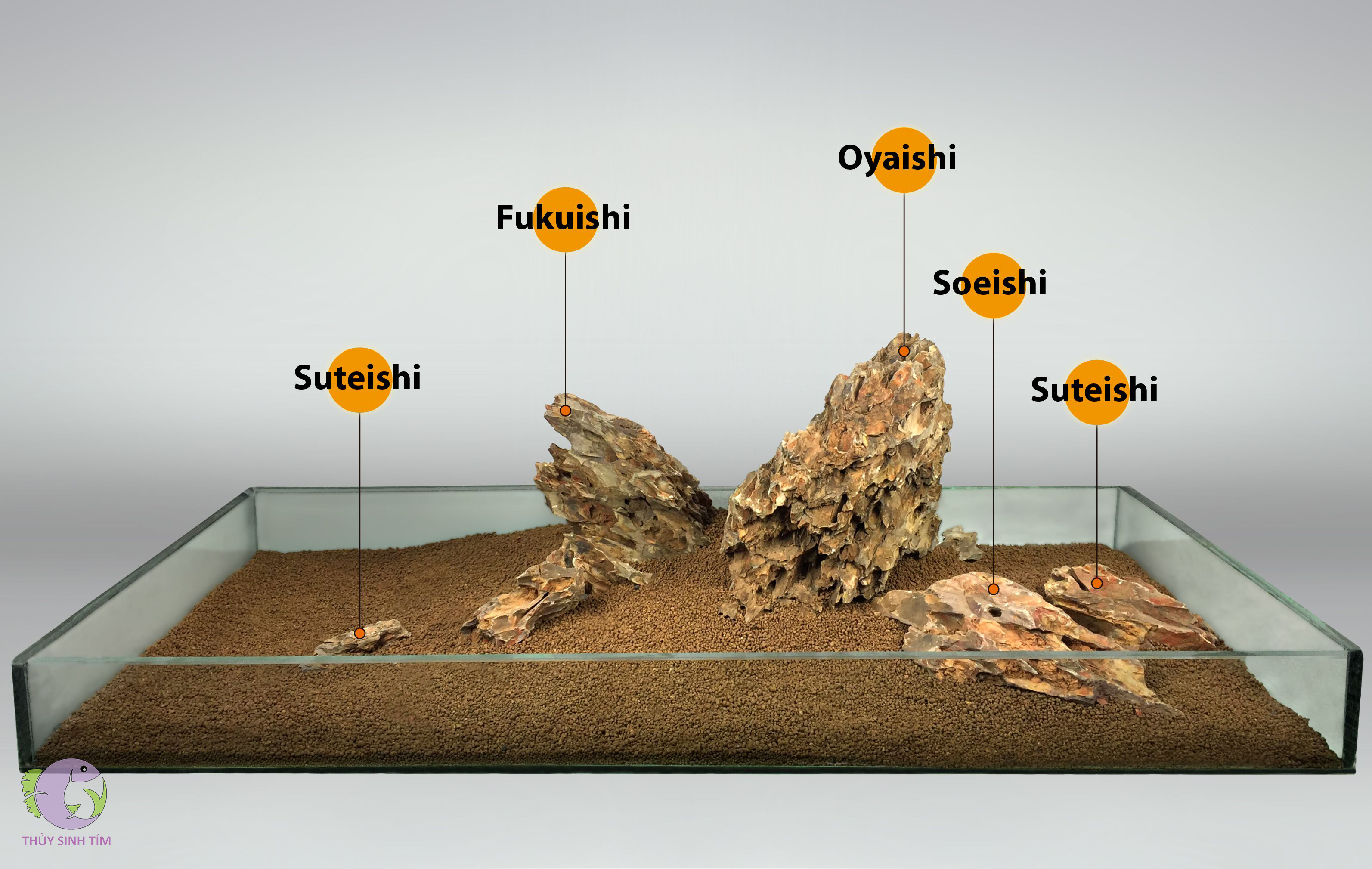 phong cách iwagumi nghệ thuật xếp đá trong hố thủy sinh - 2