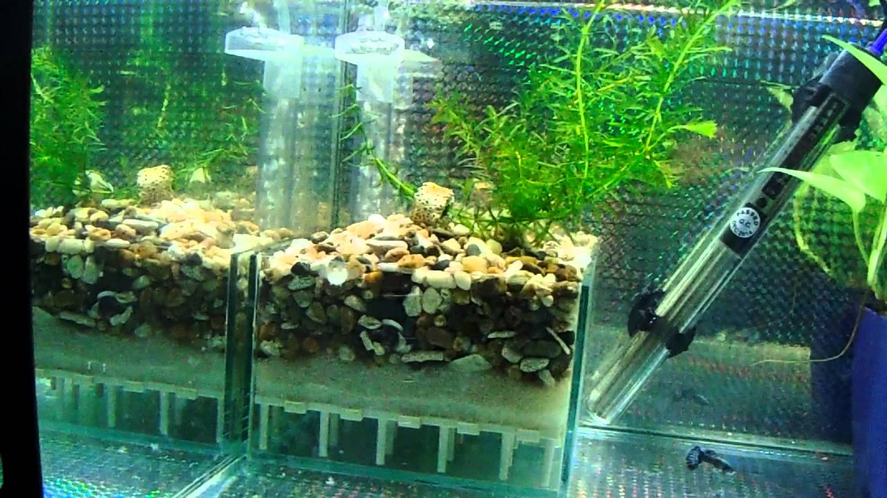 bộ lọc đáy Taiwan