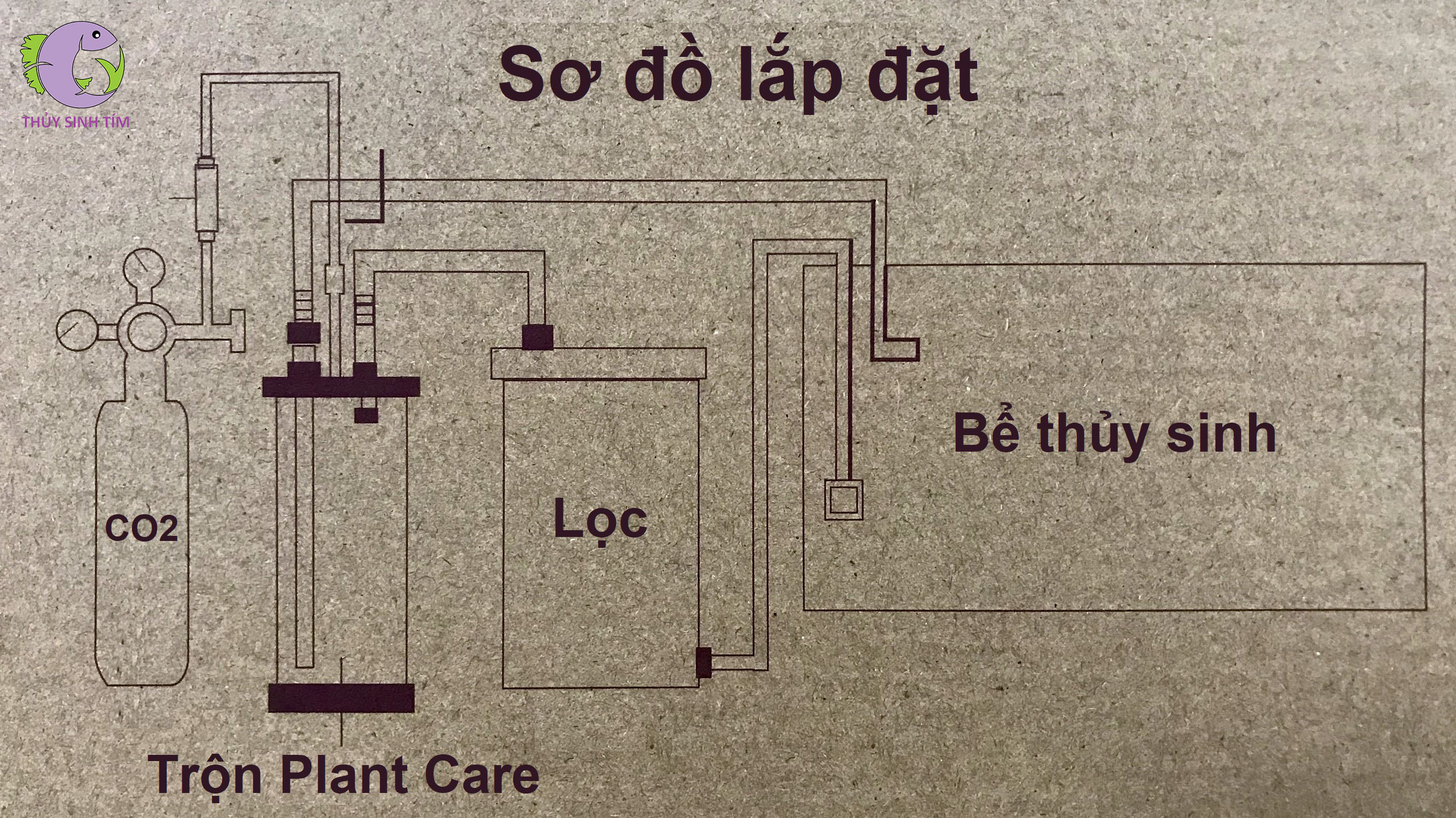 trộn co2 plant care - 5