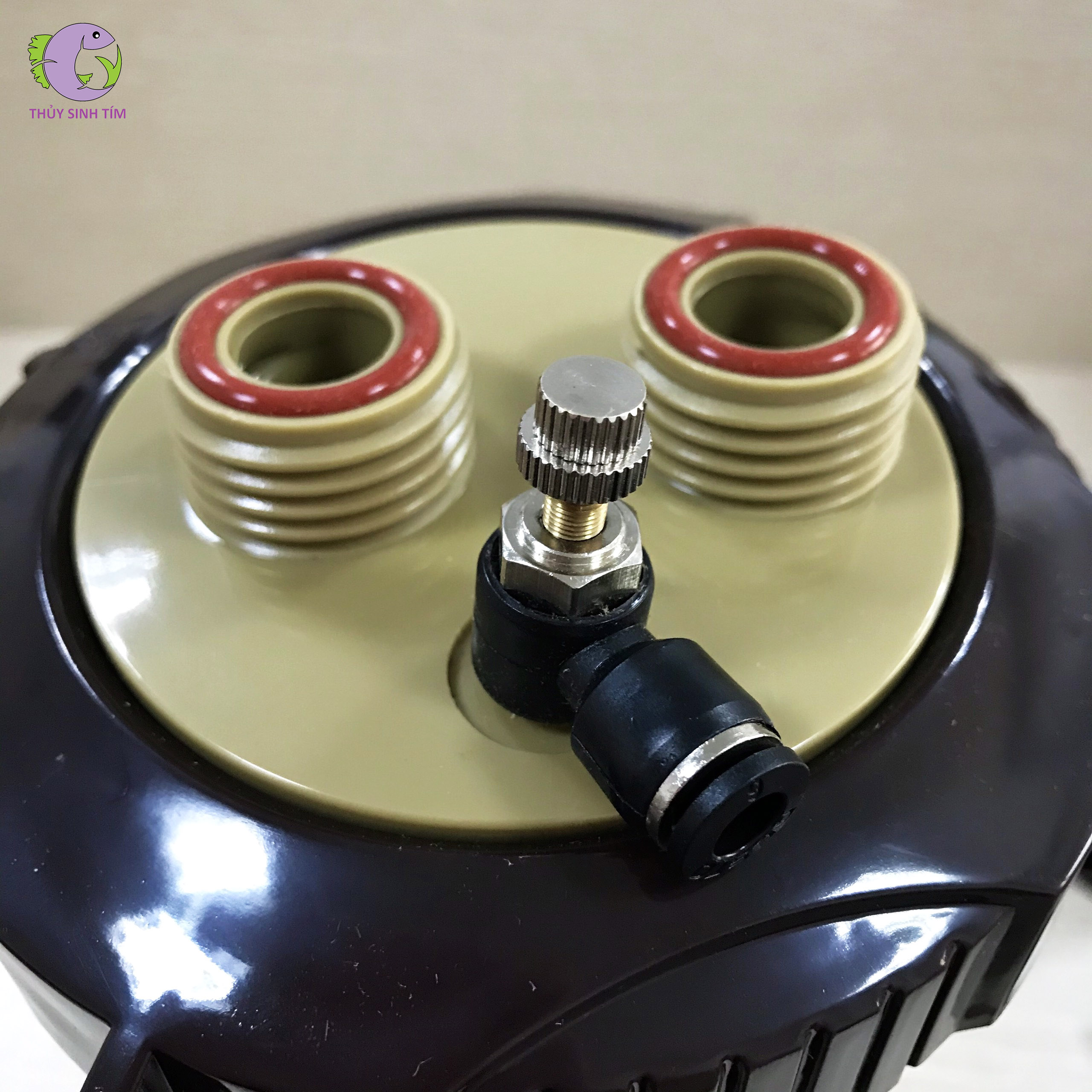 trộn co2 plant care - 4