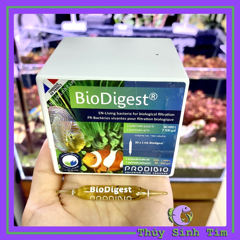 Biodigest Vi Sinh Sống BioDigest Prodibio | Thủy Sinh Tím