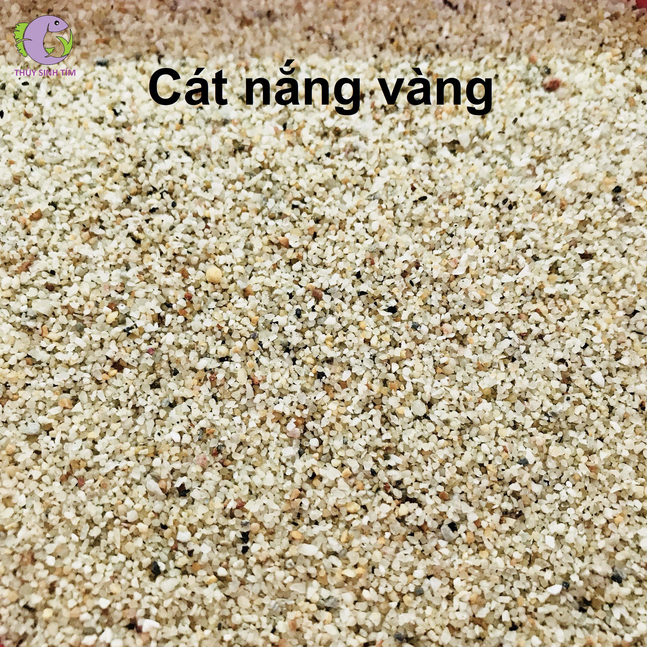 Mẹo Và Kỹ Thuật Trang Trí Bằng Cát Nắng Vàng