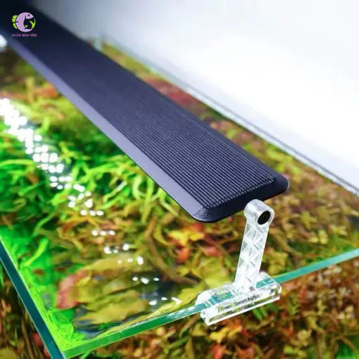 Đèn Thủy Sinh Chihiros A2 | Thủy Sinh Tím