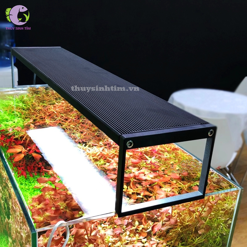 Đèn LED Cao Cấp Chihiros WRGB 2 Slim60 Thủy Sinh Tím