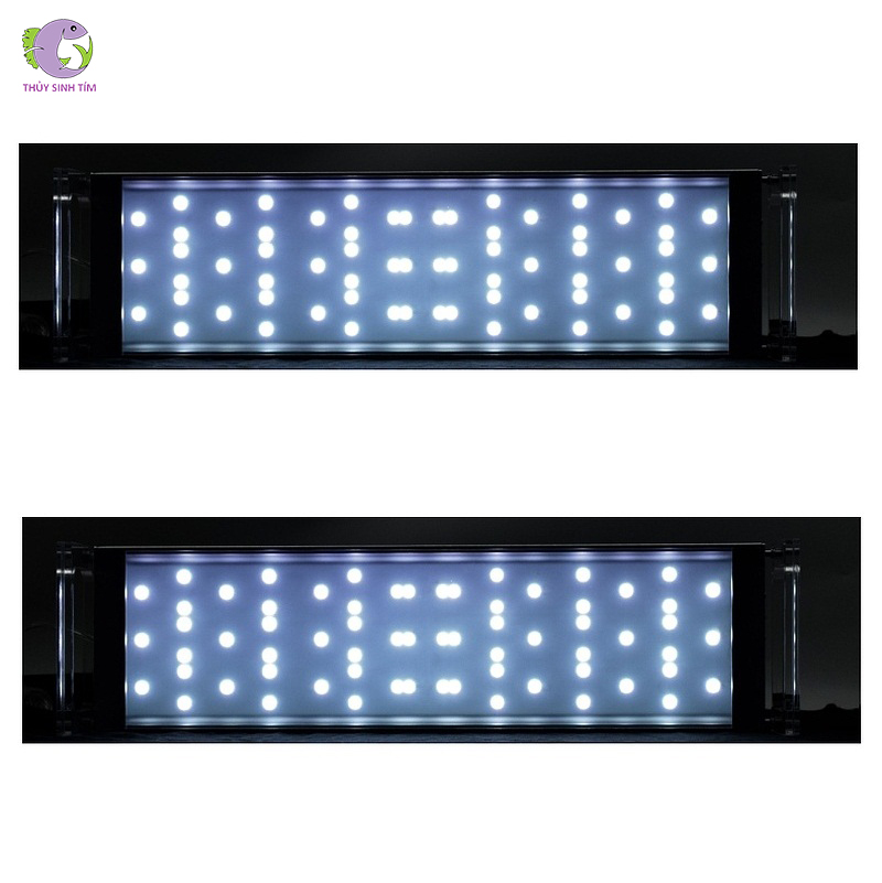 Đèn LED Week Phoenix D RGB Thủy Sinh Tím