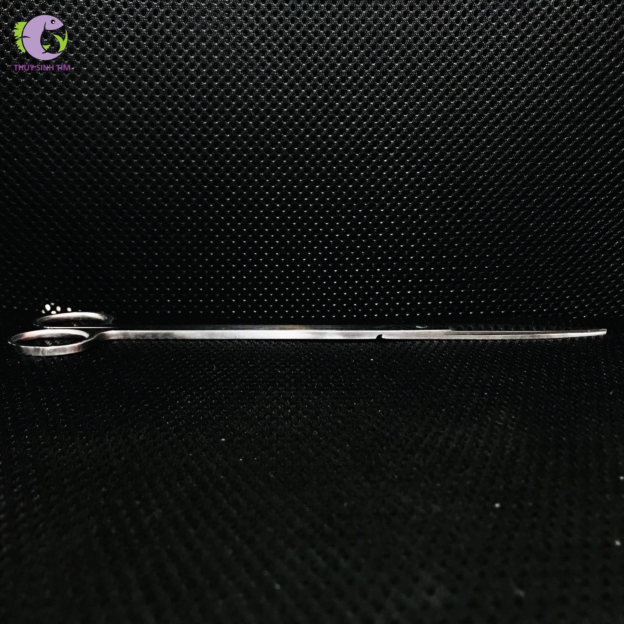 Kéo Inox Trắng Thẳng 25cm | Thủy Sinh Tím