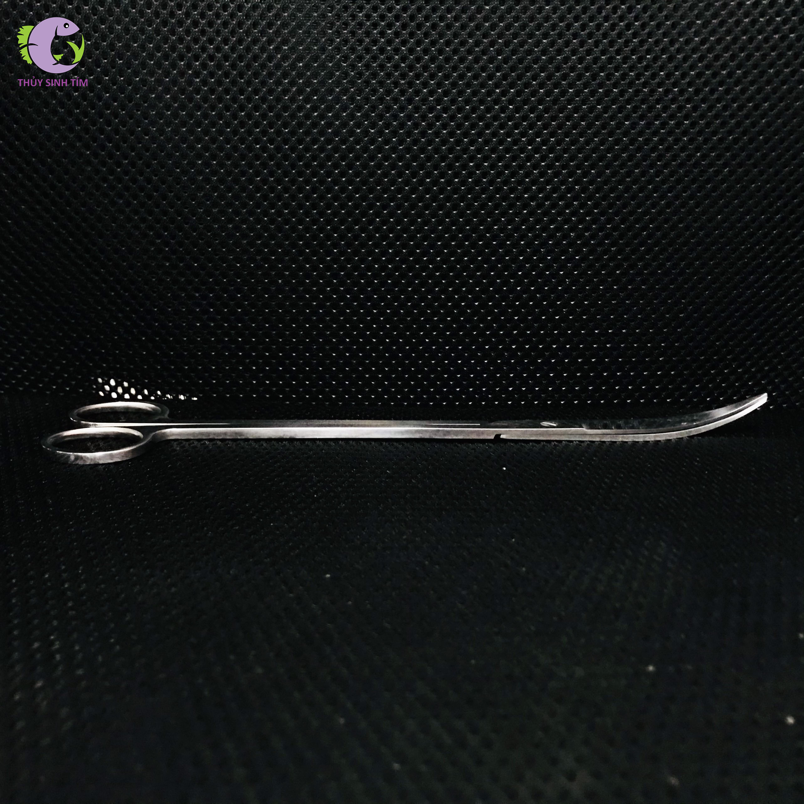Kéo Inox Trắng Cong Đầu 25cm | Thủy Sinh Tím