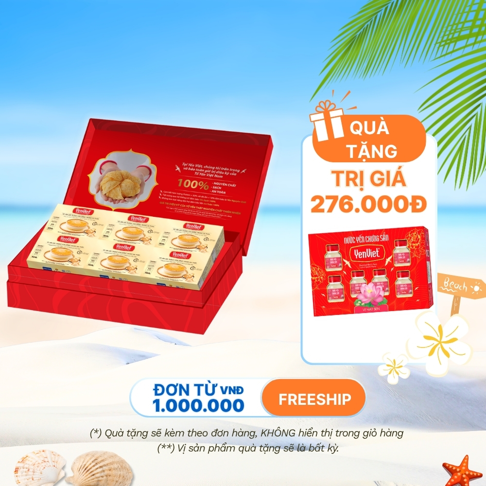 Tổ Yến Sấy Thăng Hoa- Đông Trùng Hạ Thảo [Hộp 6 viên]