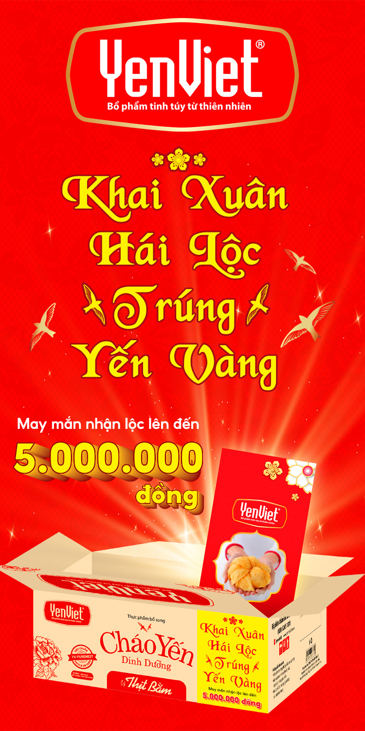 Banner phải