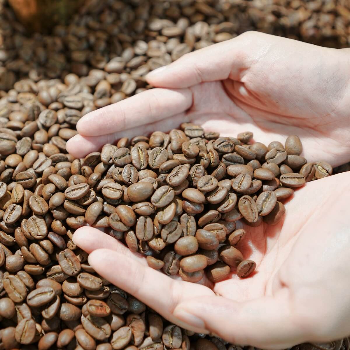 Bạn có thể chọn cà phê Arabica hoặc sản phẩm cà phê được rang sáng màu để giảm bớt vị đắng