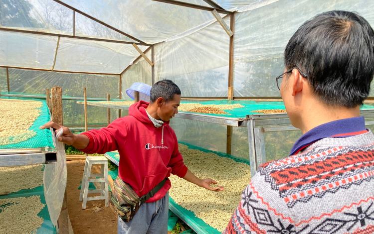 Sơ chế cà phê tại nguồn