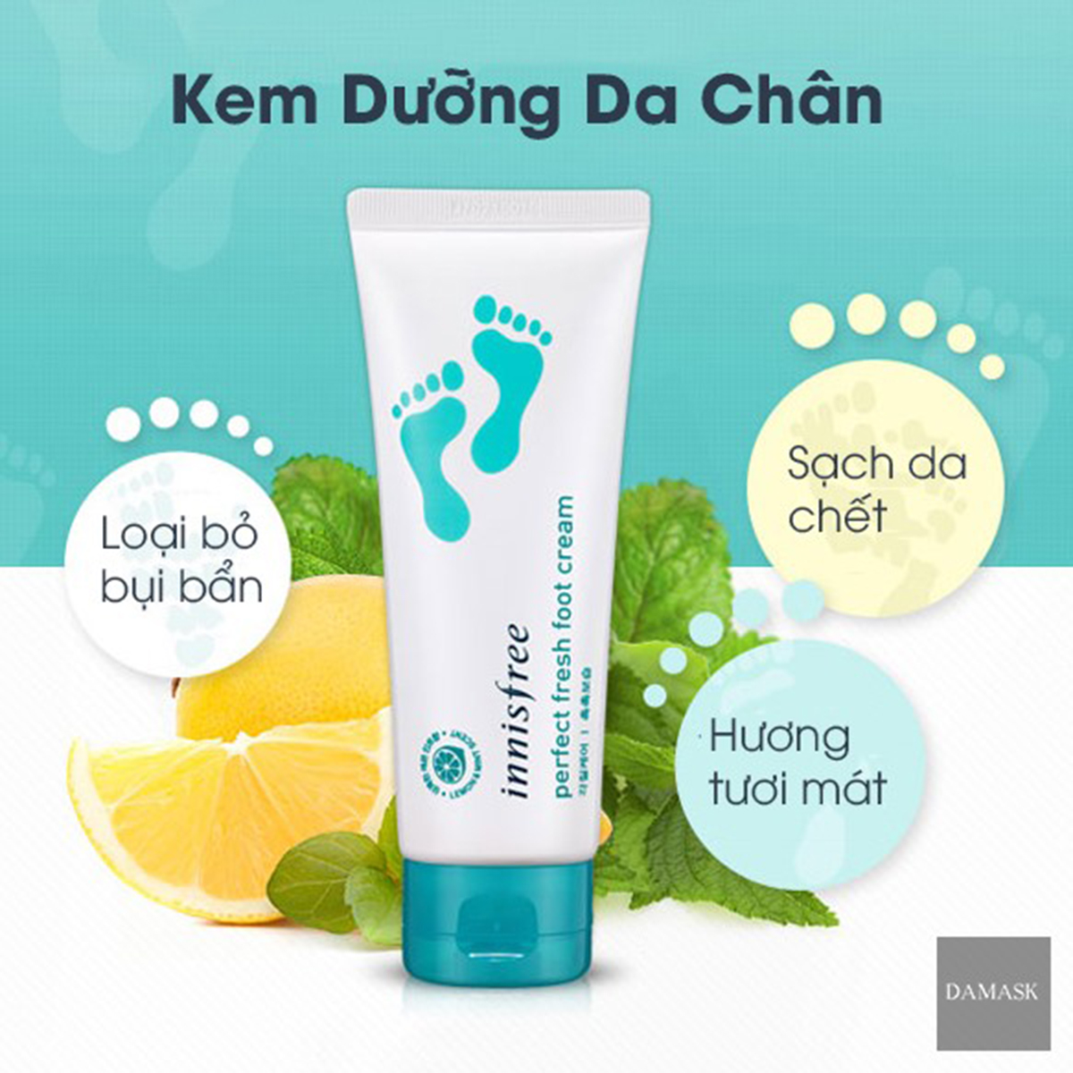 Review Kem dưỡng da chân Innisfree perfect fresh foot cream