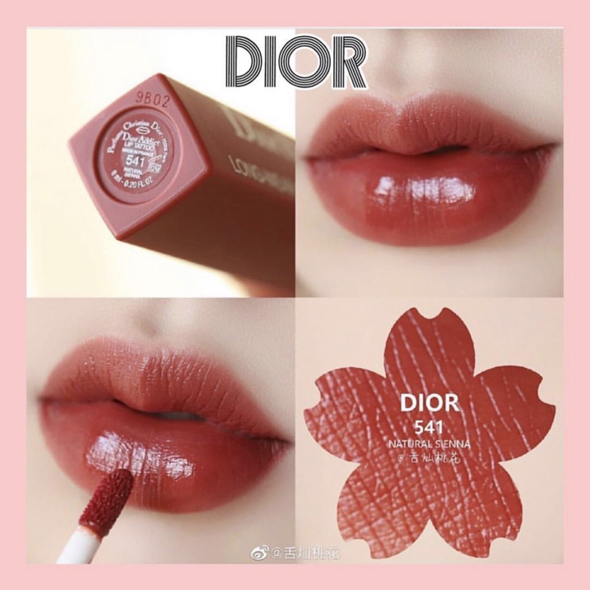 Son Dior Addict Lip Tattoo 541 Natural Sienna New 2022  Màu Đỏ Đất   KYOVN