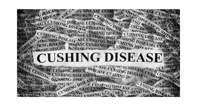 Hội chứng Cushing và bệnh Cushing là gì?