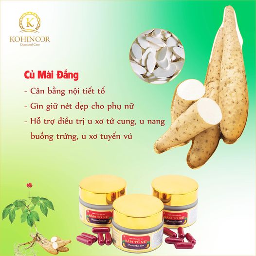 Tinh chất củ mài đắng - Giải pháp hỗ trợ điều trị suy giảm sinh lý nữ