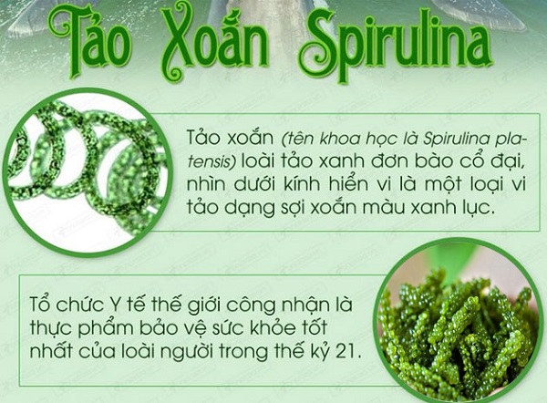 Tảo xoắn Spirulina  “thần dược” của sức khỏe, sắc đẹp phụ nữ