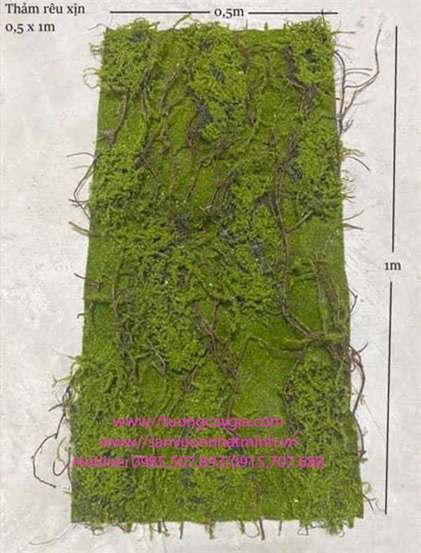 Mẫu thảm rêu nhân tạo sang trọng làm trong nhà, giá tốt nhất thị trường ...