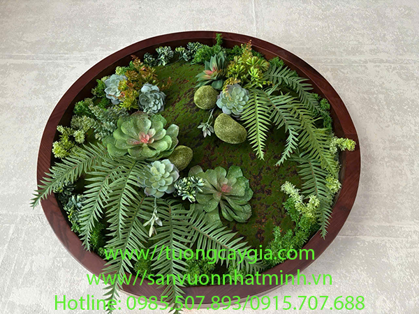 Decor khung tranh bằng rêu sen đá tại nhà hàng cà phê - Long Biên - Hà Nội