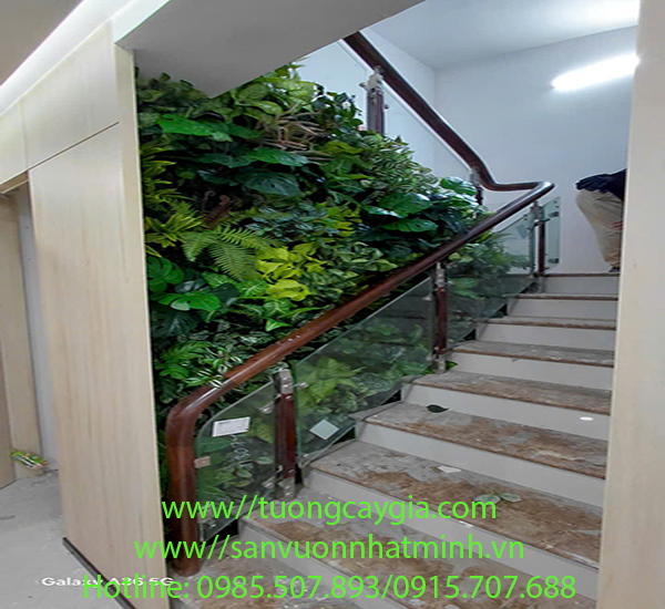 Thi công, lắp đặt vách tường cây nhân tạo tại 42 Liễu Giai, Ngọc Hà, Hà Nội
