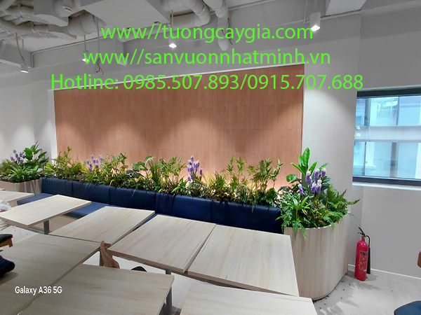 Thi công, lắp đặt vách tường cây nhân tạo tại 42 Liễu Giai, Ngọc Hà, Hà Nội