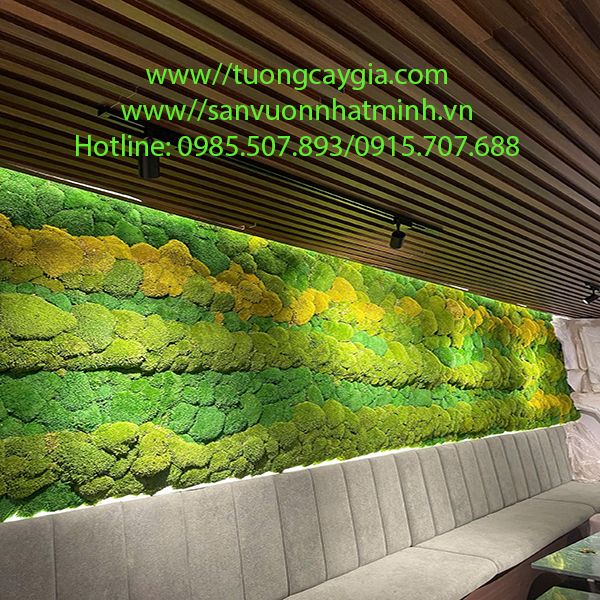 Decor vách rêu tự nhiên cho nhà hàng ẩm thực tại khu Vườn Lài, Tp Hồ Chí Minh