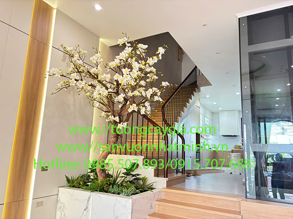 Thi công, lắp đặt cây Hoa Mộc Lan cho thẩm mỹ viện tại Vĩnh Yên - Phú Thọ
