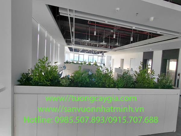 Thi công hệ thống cây xanh cổ thụ tại nhà máy LUX D1 KCN Vsip Hưng Nguyên - Nghệ An
