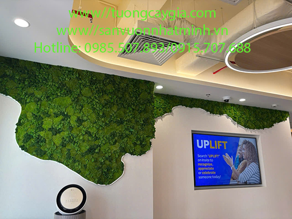 Decor tường rêu bảo tồn nghệ thuật tại Công ty Visa 34 Tràng Tiền - Hà Nội