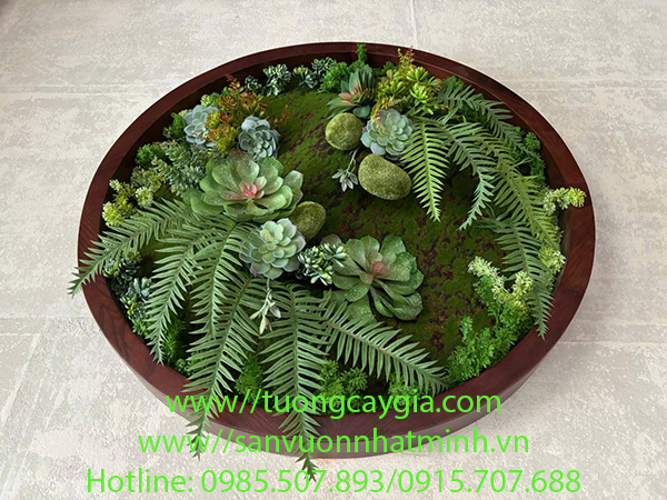 Decor khung tranh bằng rêu sen đá tại nhà hàng cà phê - Long Biên - Hà Nội
