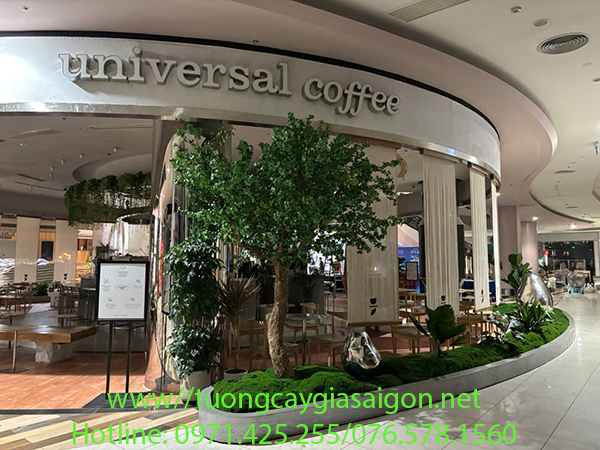 Thi công cây Thạch Nam cổ thụ tại trung tâm thương mại Aeon mall Hà Đông - HN