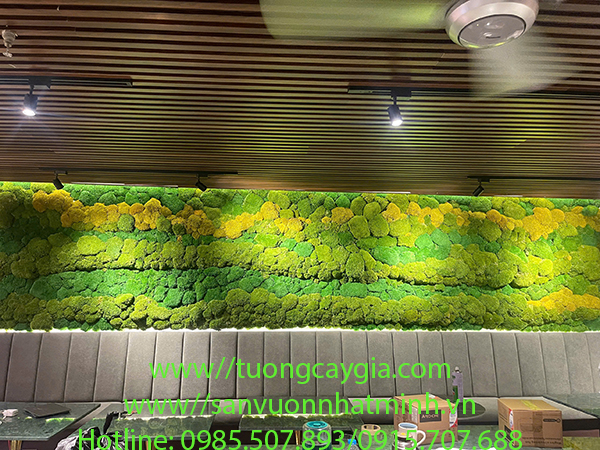 Decor vách rêu tự nhiên cho nhà hàng ẩm thực tại khu Vườn Lài, Tp Hồ Chí Minh