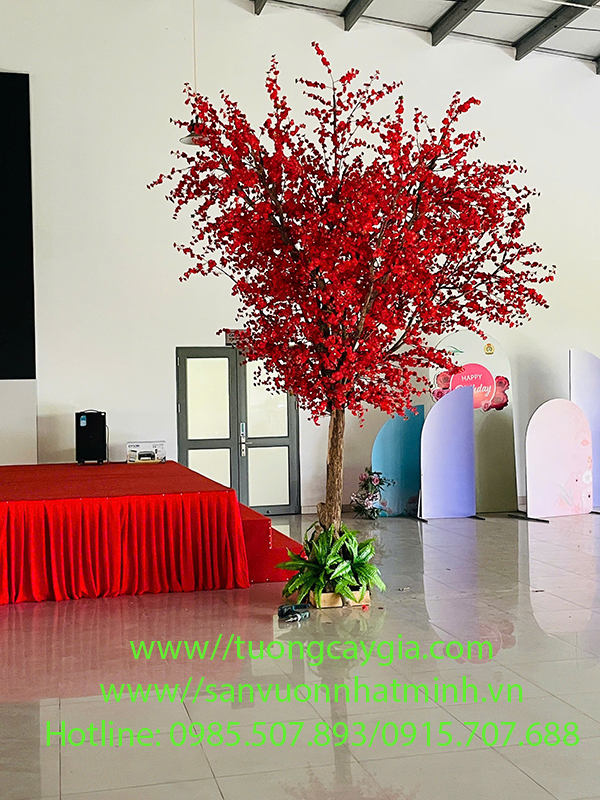 Lắp đặt, thi công cây hoa anh đào đỏ thắm sắc xuân sang tại Hóc Môn - TP HCM