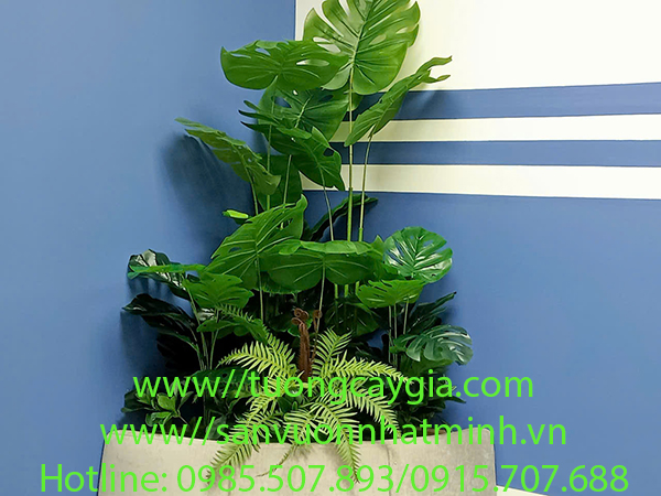 Thi công bục cây nhân tạo tại văn phòng DYM số 257 Điện Biên Phủ, Tp Hồ Chí Minh