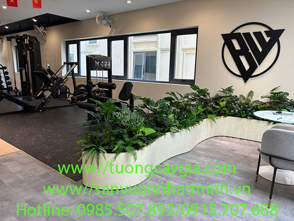 Thi công, lắp đặt bục cây xanh nhân tạo tại phòng tập Gym số 57 Phan Đình Phùng - Hà Nội