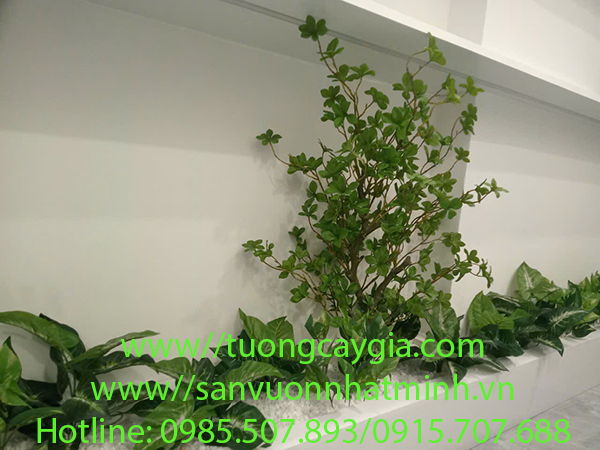 Thi công lắp đặt cây lá nhân tạo trong bục gỗ tại 657 Quang Trung - Gò Vấp - Tp HCM