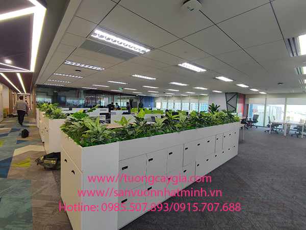 Trang trí, thi công lắp đặt cây xanh tại Tập đoàn Bosch tòa nhà Capital Place số 29 Liễu Giai - Ba Đinh - Hà Nội