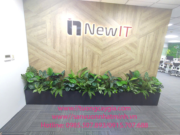 Decor bục cây xanh văn phòng Công ty IR NEW IT tại tòa nhà MITEC số 1 Dương Đình Nghệ, Cầu Giấy, Hà Nội