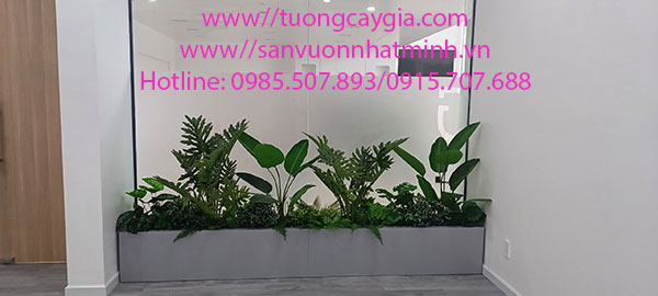 Lắp đặt tiểu cảnh, bục cây xanh tại Bệnh viện Răng hàm mặt Tp Bến Tre, tỉnh Bến Tre