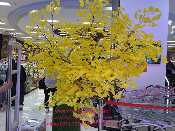 Cây hoa phong linh màu vàng siêu đẹp tại siêu thị Aeon mall Hà Đông