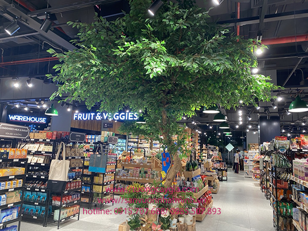 Thi công cây si xanh tại siêu thị Vinhomes Smart City