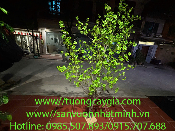 Cung cấp chậu Thạch Nam nhân tạo bền, đẹp, giá tốt nhất thị trường