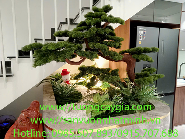 Cây tùng la hán dáng bon sai cho nhà phố - Hà Nội