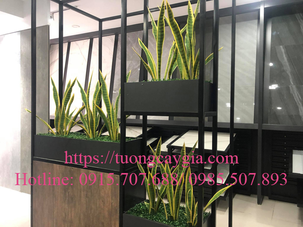 Thi công lắp đặt hệ thống cây xanh tại showroom gạch Viglacera - Văn Phú - Hà Đông - Hà Nội