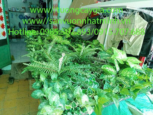 Gia công vách tường cây hỗn hợp tại kho Nhật Minh