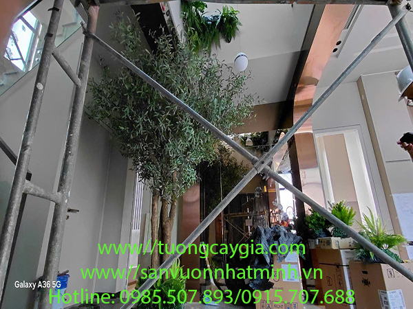 Decor cây Oliu cổ thụ khu vực thông tầng tại dự án Fulton Regal - Vinhomes Ocean Park 3