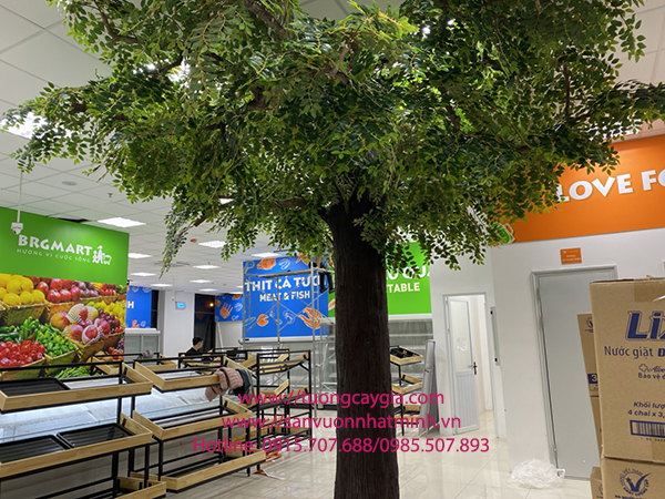 Thi công đắp xi măng tạo thân cây si xanh tại siêu thị Bibomart - Gia Lâm - Hà Nội