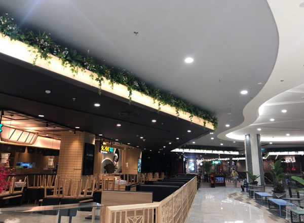 Trang trí toàn bộ hệ thống tường cây giả tại Aeon mall Hà Đông - Hà Nội