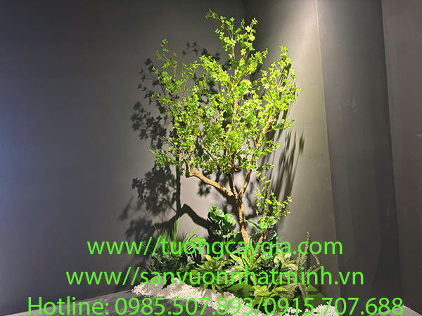 Thi công lắp đặt chậu cây thạch nam tại Hà Nội, Hồ Chí Minh