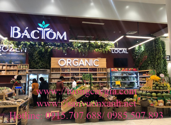 Tường cây giả tại Aeon mall - Hà Đông - Hà Nội