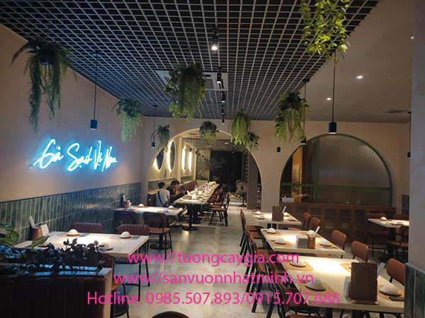 Lắp đặt giỏ cây treo trần nhà hàng Cơm gà Hải Nam - 75 Láng Hạ - Hà Nội